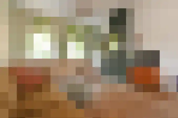 Dirk Hoogenraadstraat 20 B Den Haag thumbnail 8
