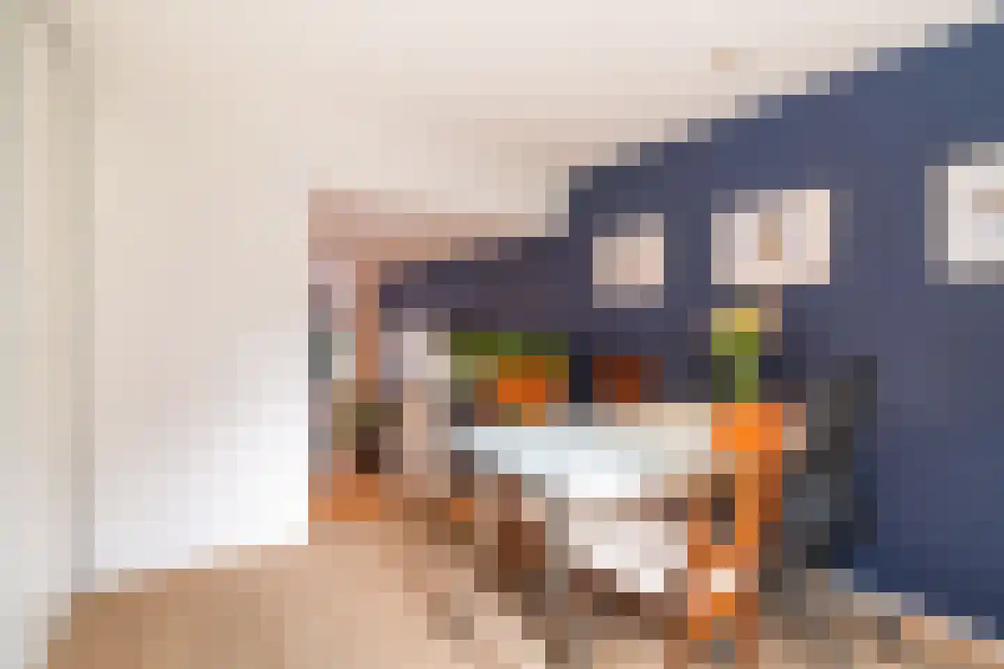 Dirk Hoogenraadstraat 31 Den Haag thumbnail 15