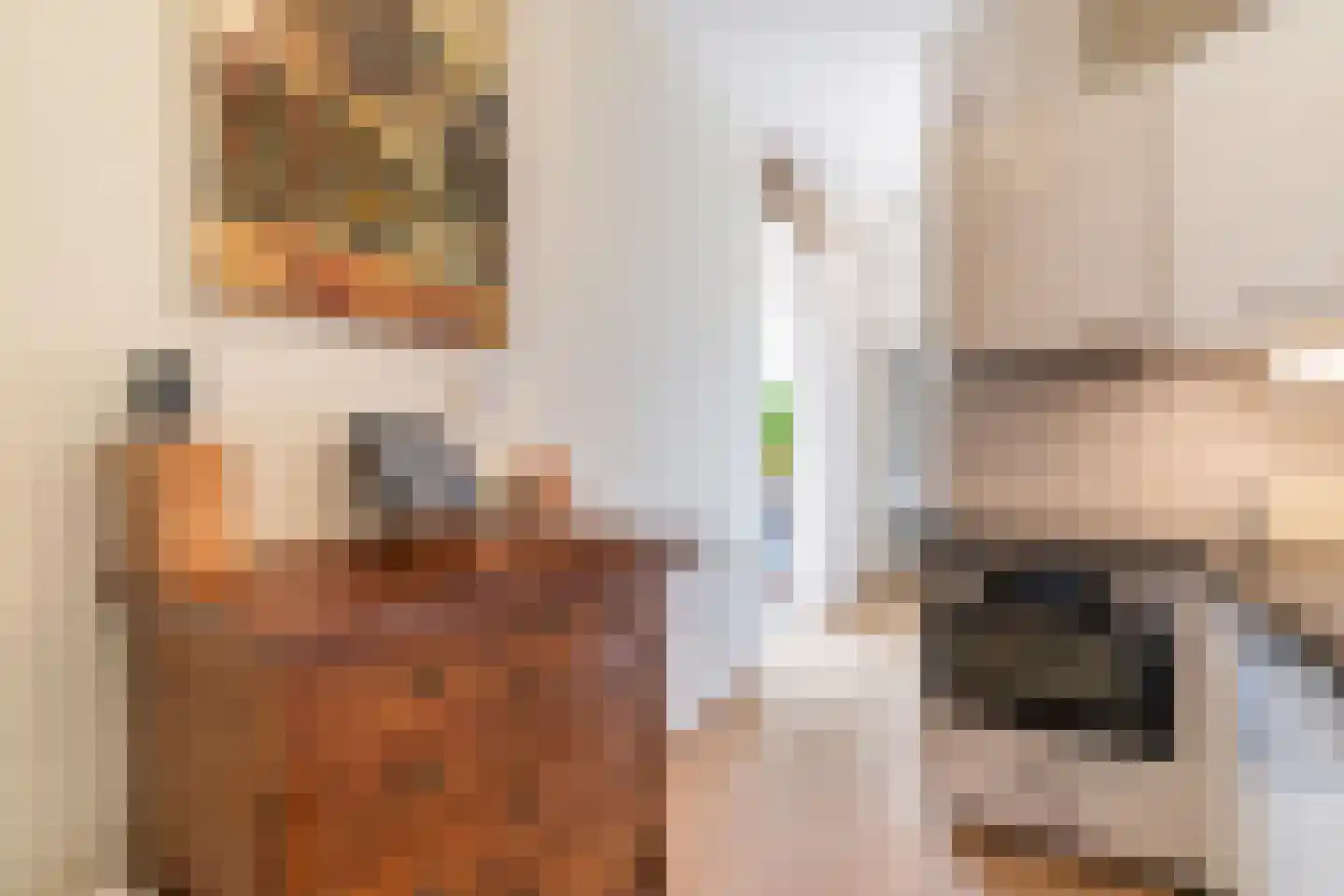 Dirk Hoogenraadstraat 31 Den Haag thumbnail 17