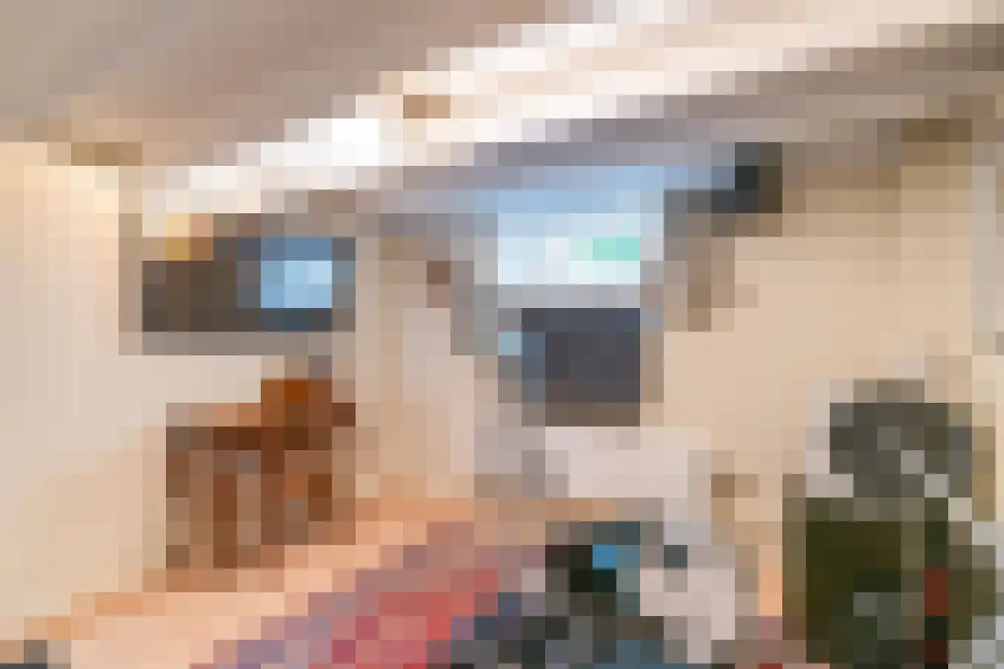 Dirk Hoogenraadstraat 31 Den Haag thumbnail 32