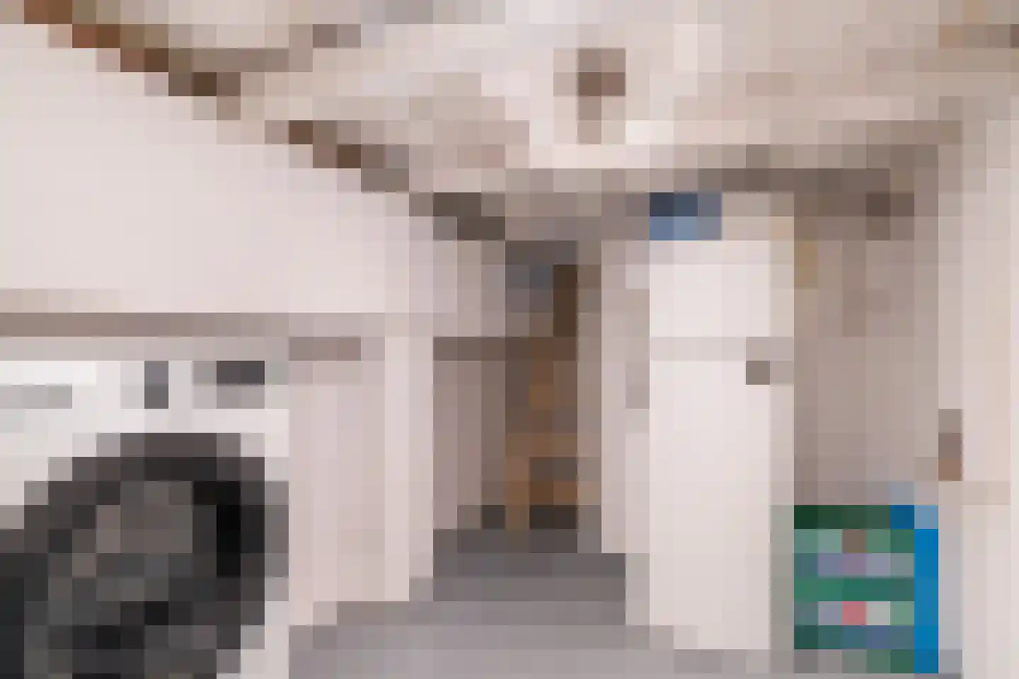 Dirk Hoogenraadstraat 31 Den Haag thumbnail 34