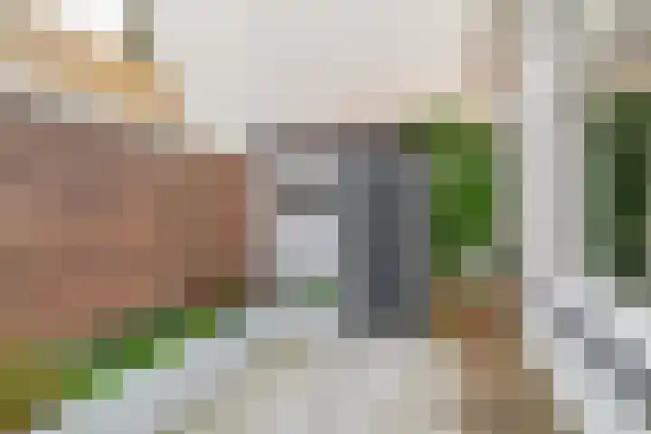 Dirk Hoogenraadstraat 64 Den Haag thumbnail 17