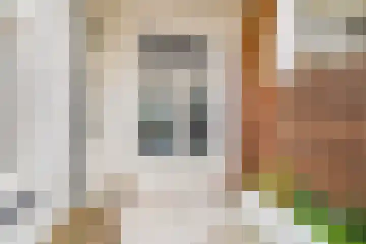 Dirk Hoogenraadstraat 64 Den Haag thumbnail 20