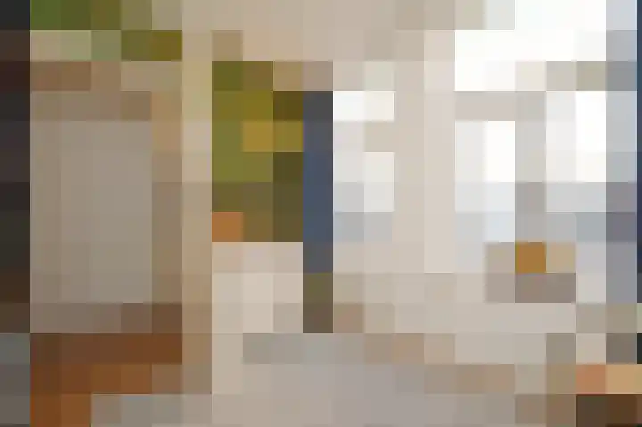 Dirk Hoogenraadstraat 68 L Den Haag thumbnail 20