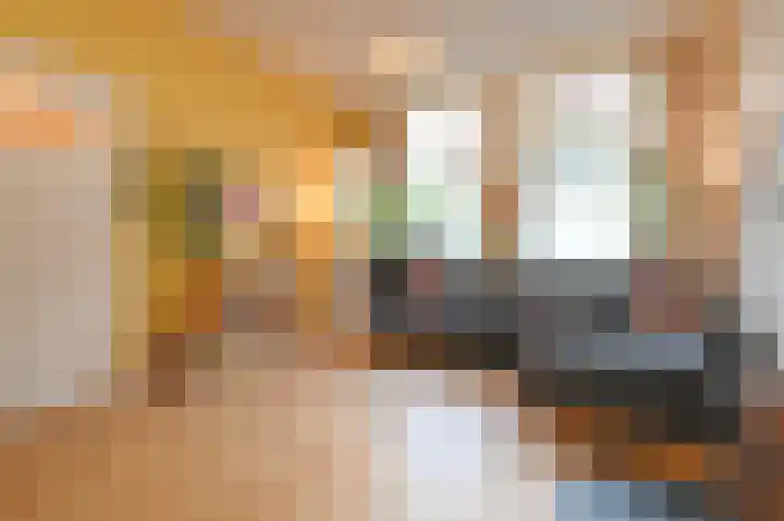 Dirk Hoogenraadstraat 68 L Den Haag thumbnail 5