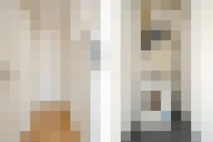 Dirk Hoogenraadstraat 83 A Den Haag thumbnail 16