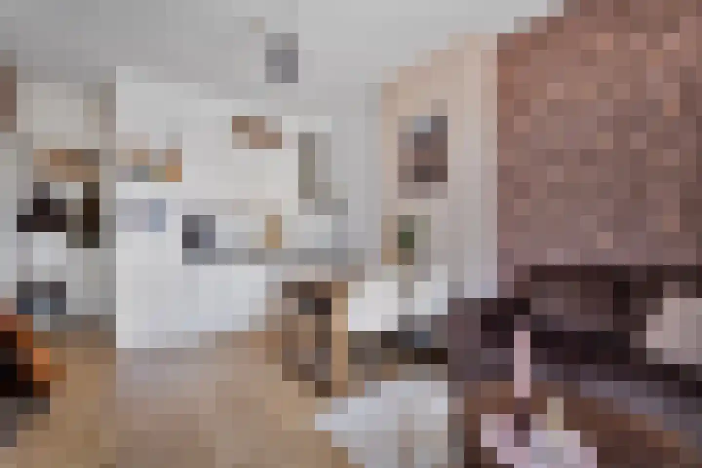 Dirk Hoogenraadstraat 83 Den Haag thumbnail 10