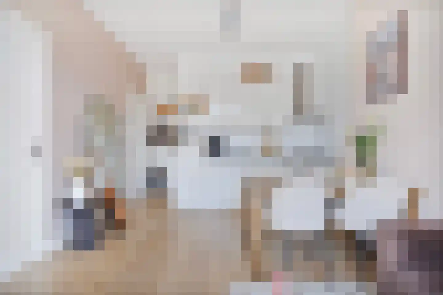 Dirk Hoogenraadstraat 83 Den Haag thumbnail 13