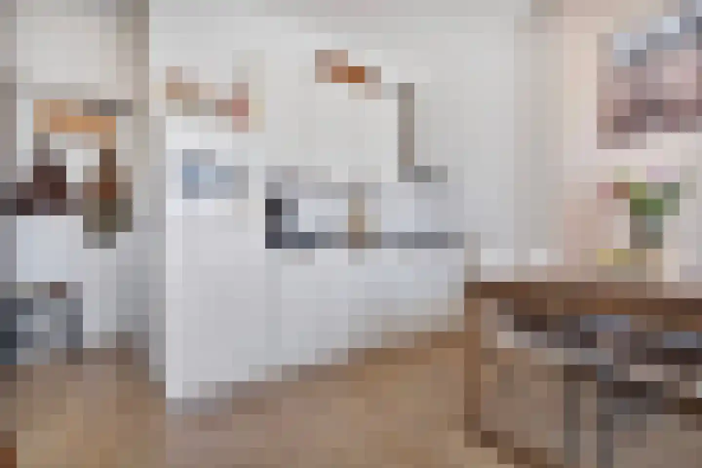 Dirk Hoogenraadstraat 83 Den Haag thumbnail 14