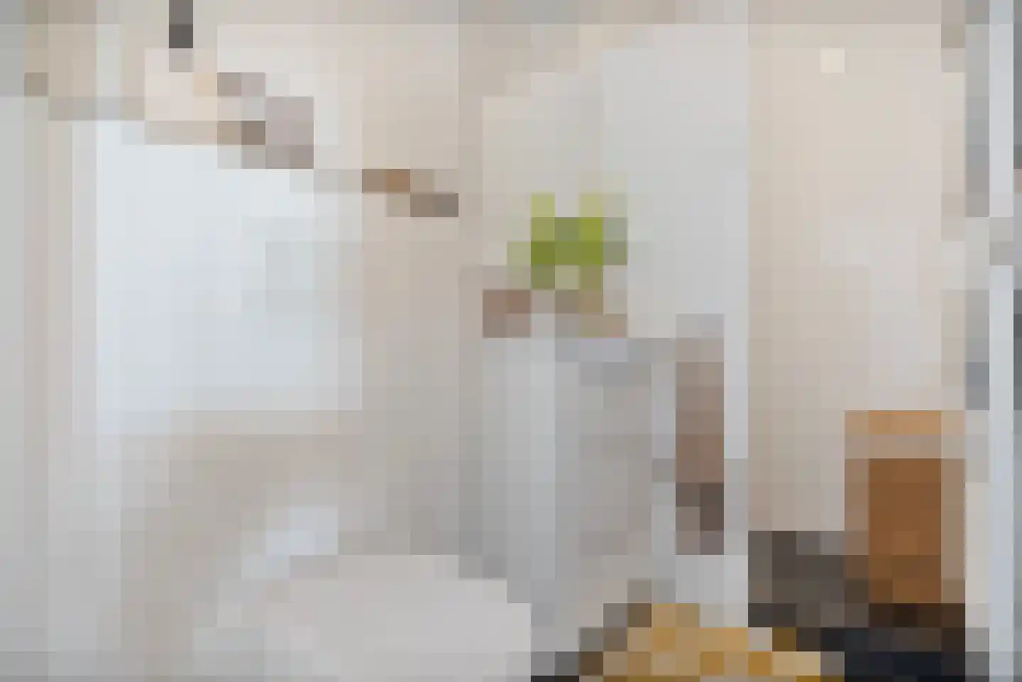 Dirk Hoogenraadstraat 83 Den Haag thumbnail 19
