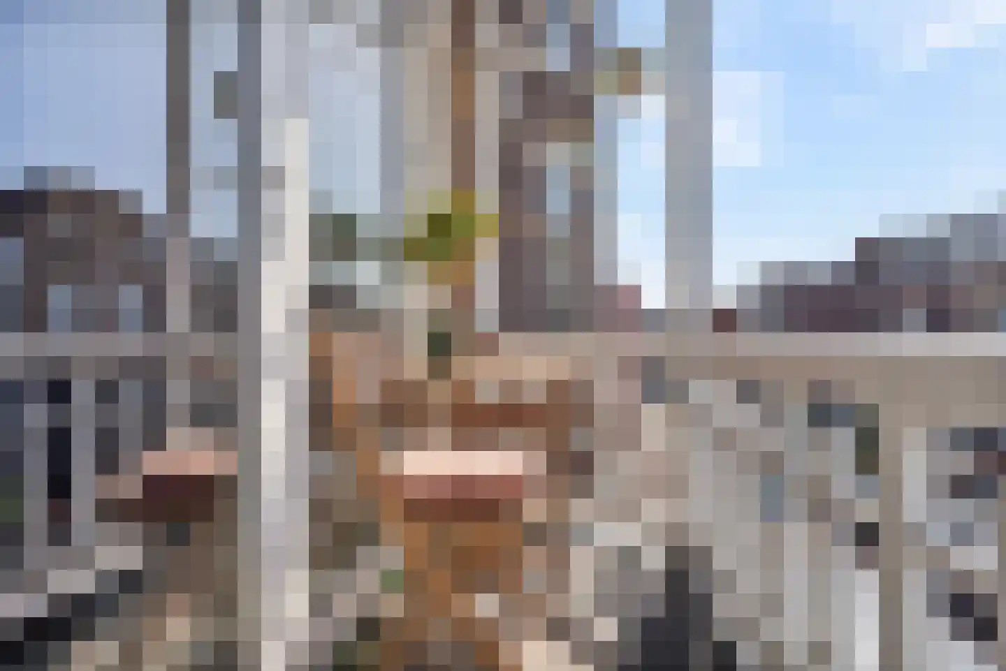 Dirk Hoogenraadstraat 83 Den Haag thumbnail 24