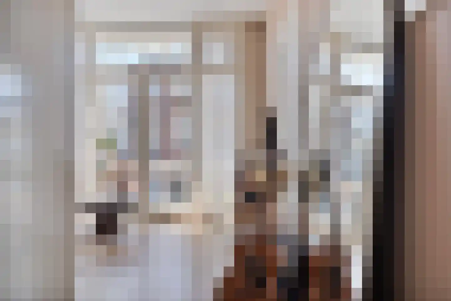 Dirk Hoogenraadstraat 83 Den Haag thumbnail 4