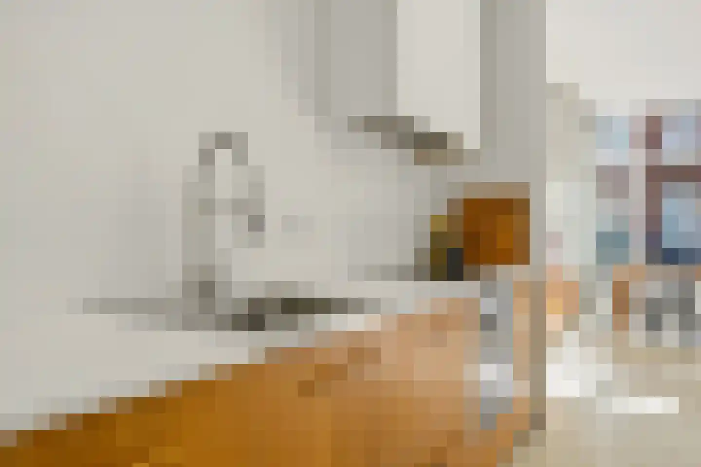 Dirk Hoogenraadstraat 92 Den Haag thumbnail 10