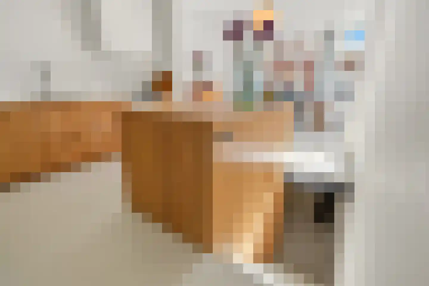 Dirk Hoogenraadstraat 92 Den Haag thumbnail 14