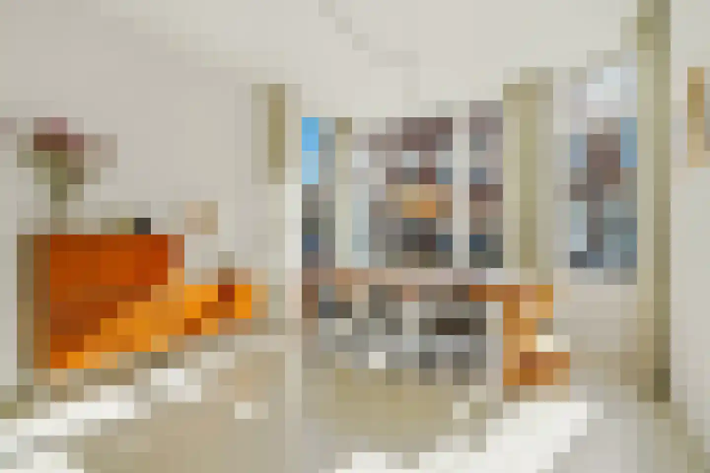 Dirk Hoogenraadstraat 92 Den Haag thumbnail 16