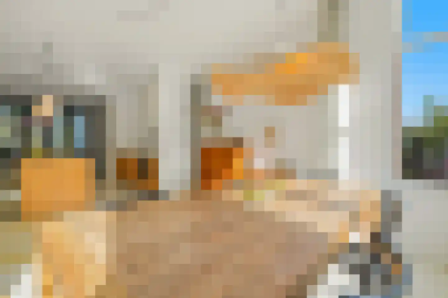 Dirk Hoogenraadstraat 92 Den Haag thumbnail 17