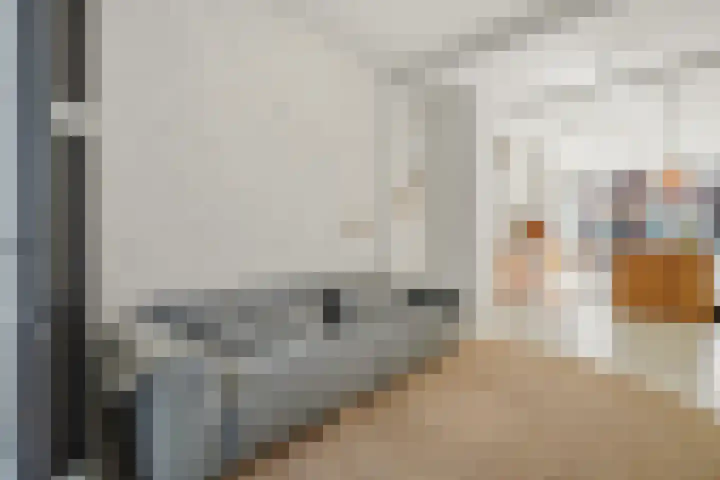 Dirk Hoogenraadstraat 92 Den Haag thumbnail 19
