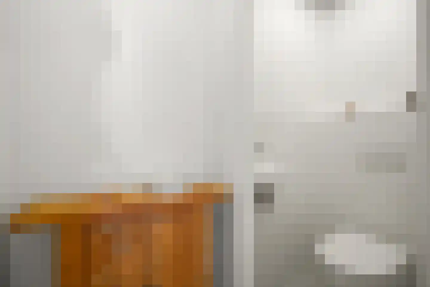 Dirk Hoogenraadstraat 92 Den Haag thumbnail 21