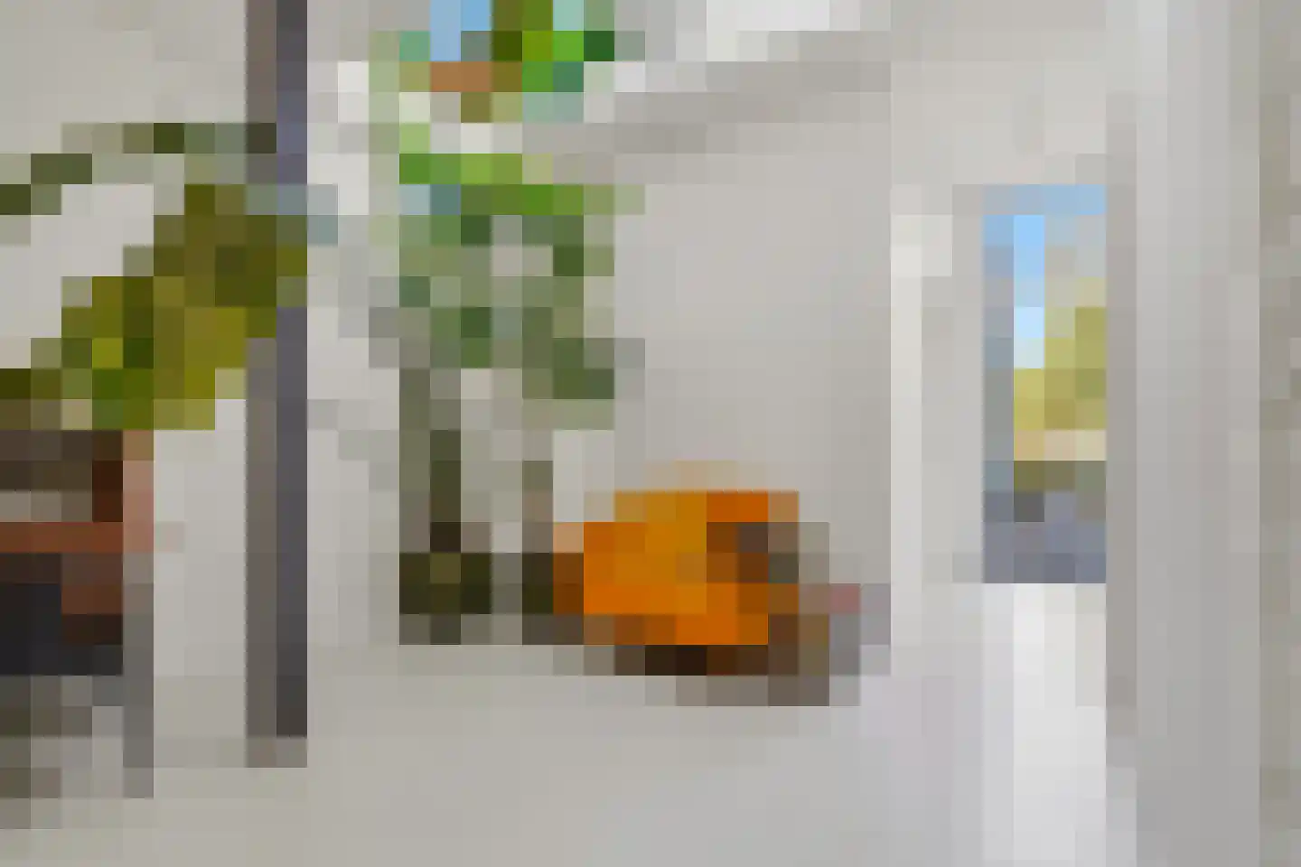 Dirk Hoogenraadstraat 92 Den Haag thumbnail 24