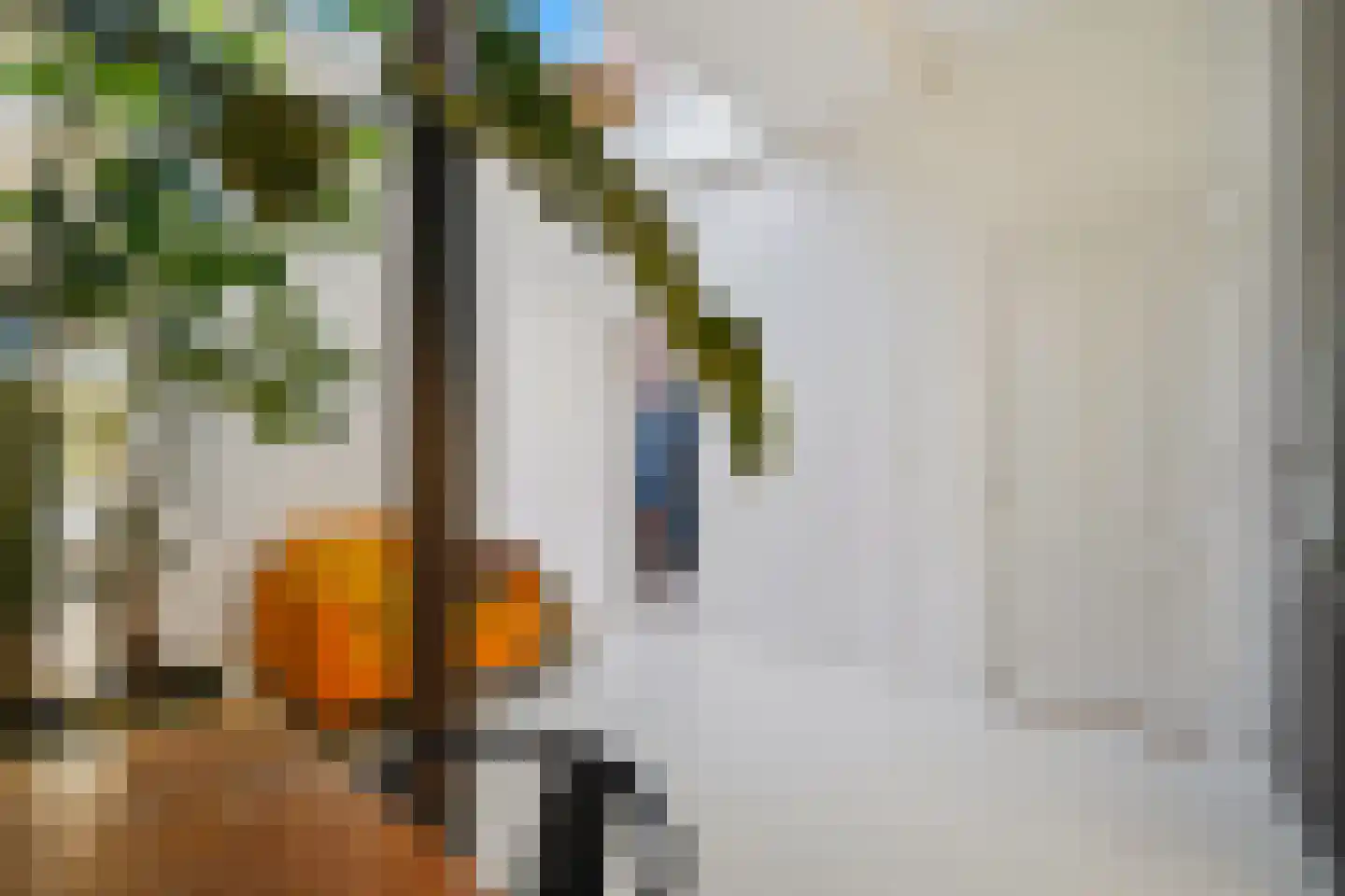 Dirk Hoogenraadstraat 92 Den Haag thumbnail 29