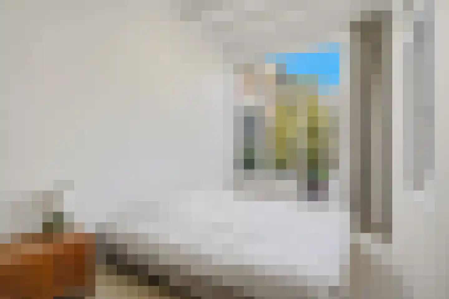 Dirk Hoogenraadstraat 92 Den Haag thumbnail 32