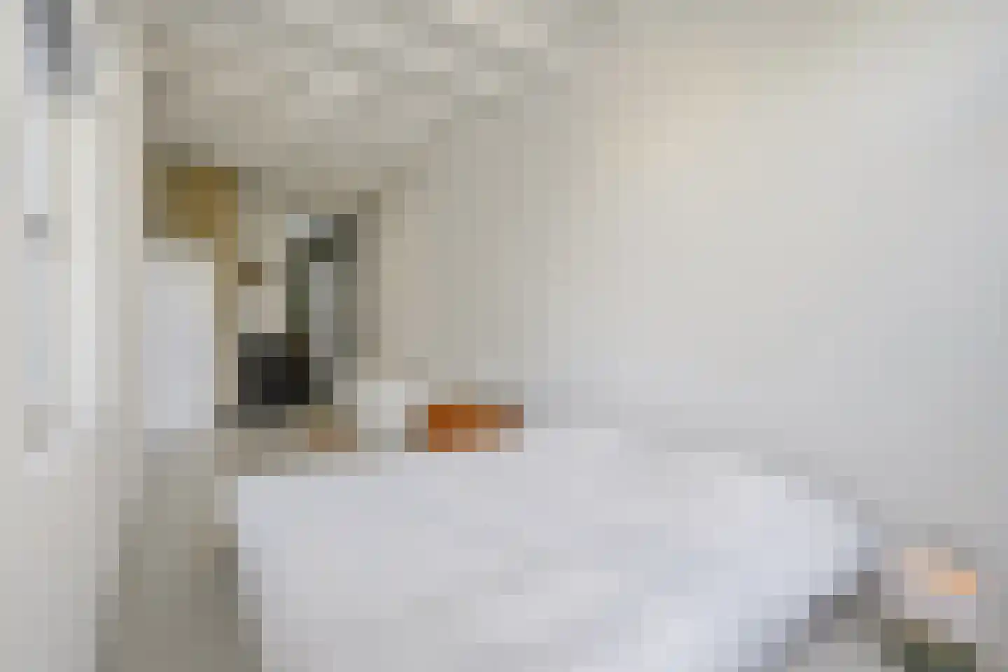 Dirk Hoogenraadstraat 92 Den Haag thumbnail 33