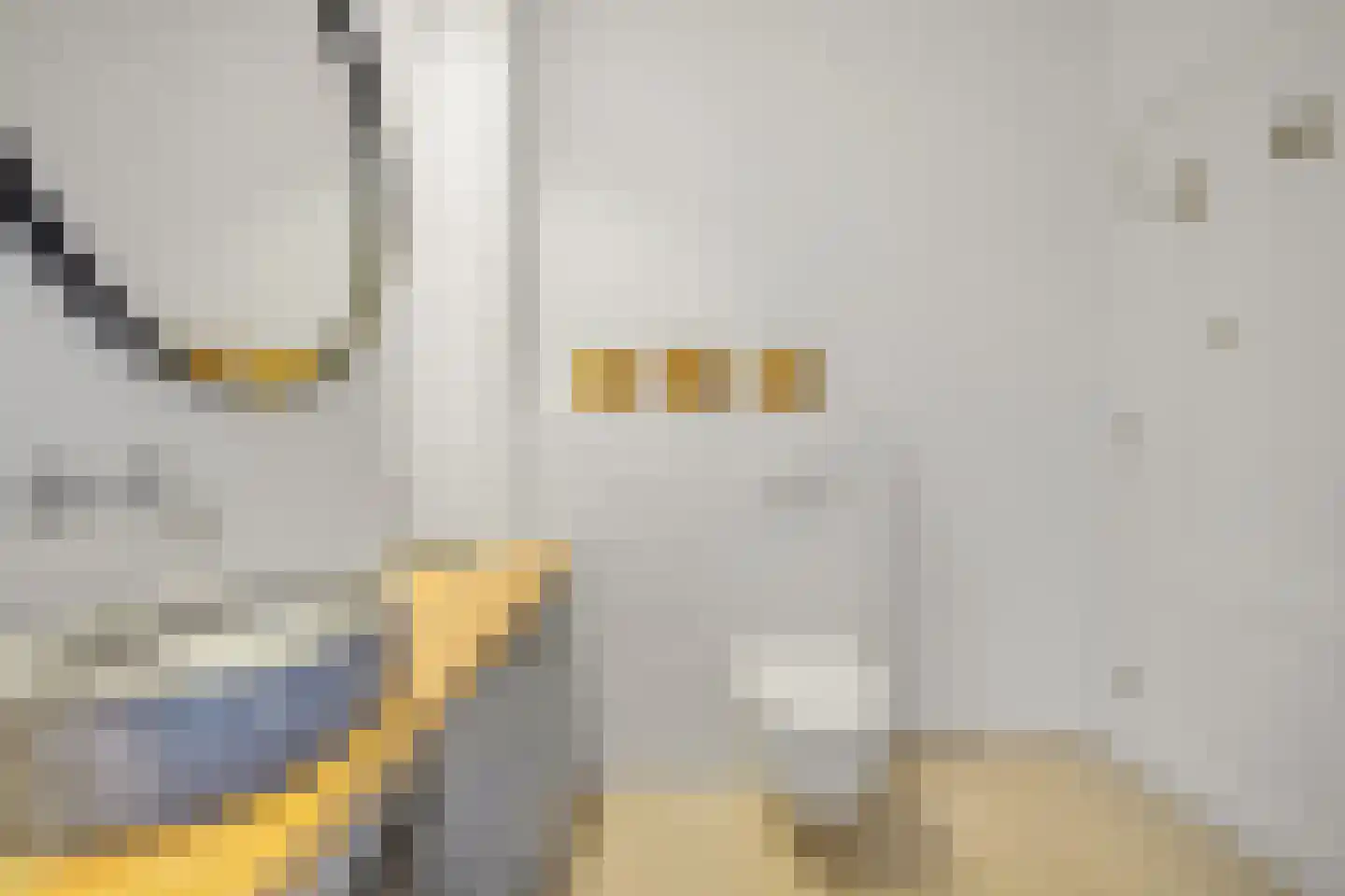Dirk Hoogenraadstraat 92 Den Haag thumbnail 34