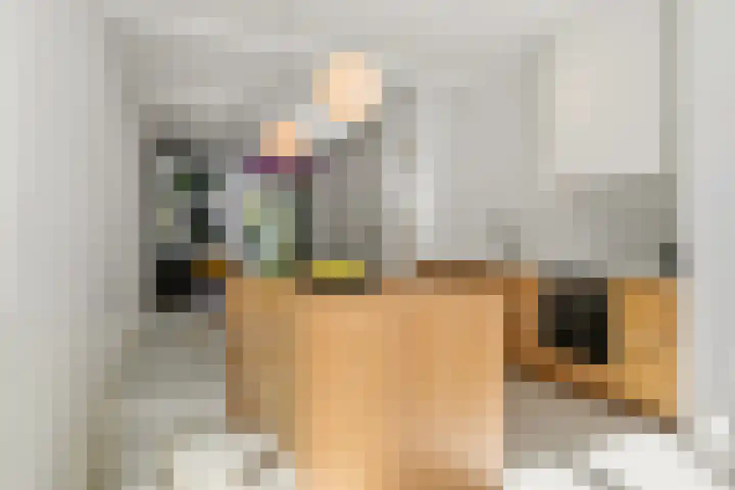 Dirk Hoogenraadstraat 92 Den Haag thumbnail 4