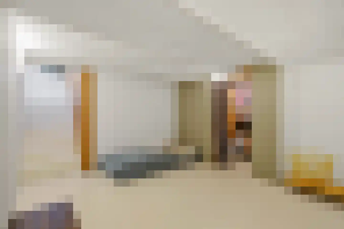 Dirk Hoogenraadstraat 92 Den Haag thumbnail 42