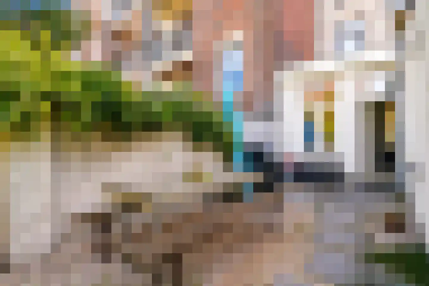 Dirk Hoogenraadstraat 92 Den Haag thumbnail 44