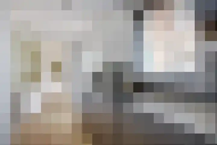 Dirk Hulstweg 10 Oosterblokker thumbnail 16