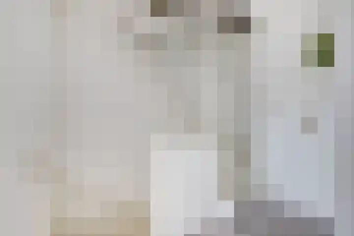 Dirk Hulstweg 10 Oosterblokker thumbnail 17