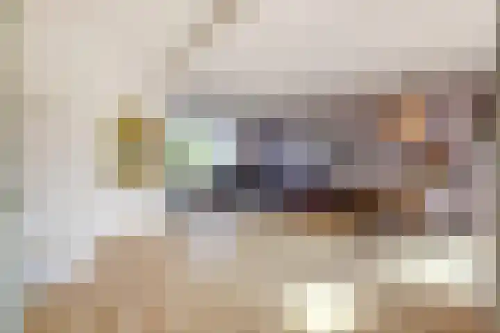 Dirk Hulstweg 10 Oosterblokker thumbnail 7