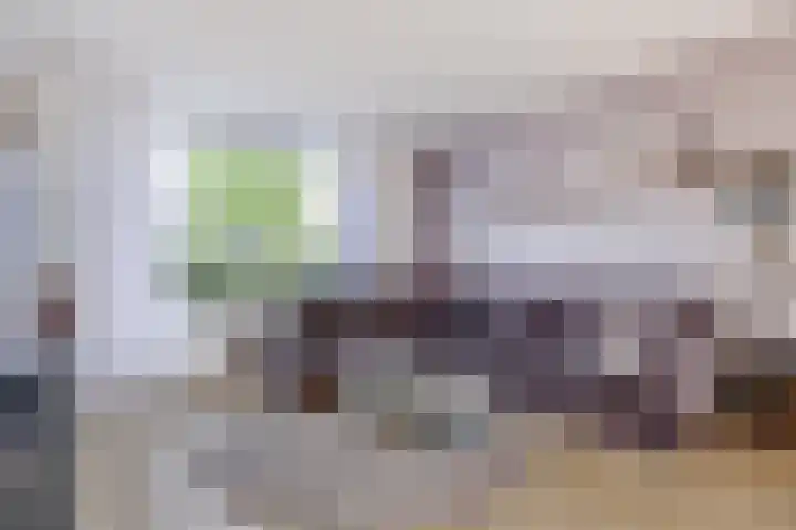 Dirk Hulstweg 10 Oosterblokker thumbnail 9