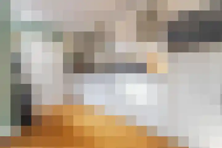 Dirk Hulstweg 4 Oosterblokker thumbnail 12