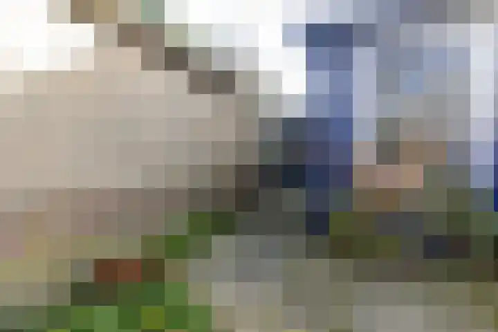 Dirk Hulstweg 4 Oosterblokker thumbnail 18