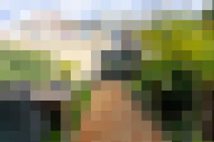 Dirk Hulstweg 4 Oosterblokker thumbnail 4