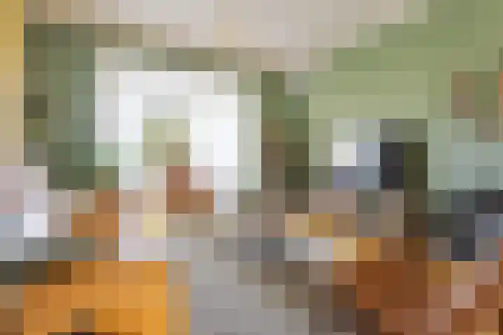 Dirk Hulstweg 4 Oosterblokker thumbnail 7