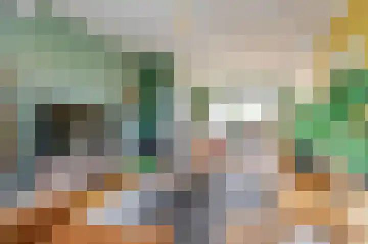 Dirk Hulstweg 4 Oosterblokker thumbnail 8