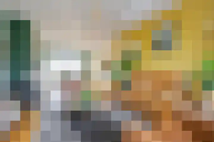 Dirk Hulstweg 4 Oosterblokker thumbnail 9