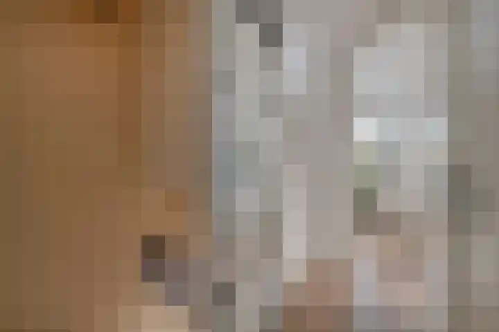 Dirk III straat 33 Nieuw-Lekkerland thumbnail 12