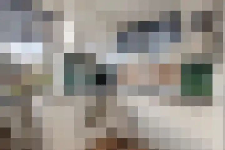 Dirk III straat 33 Nieuw-Lekkerland thumbnail 7