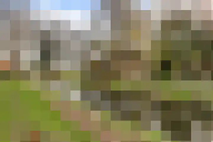 Dirk III straat 5 Nieuw-Lekkerland thumbnail 35
