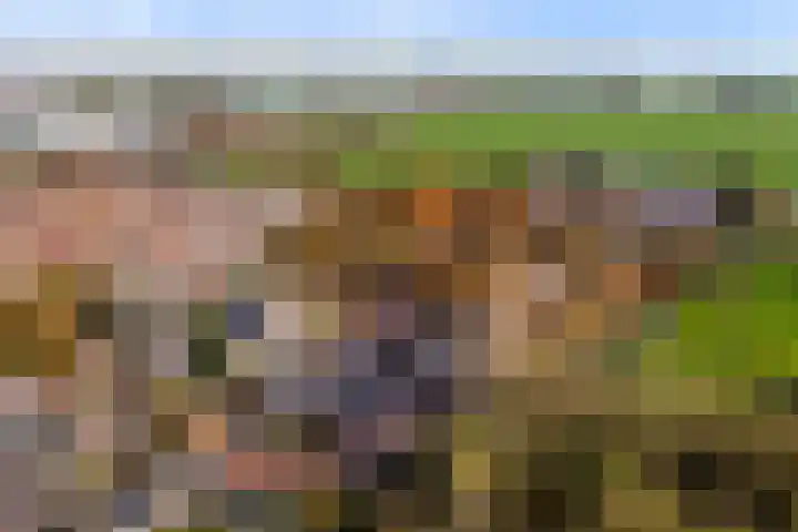 Dirk III straat 5 Nieuw-Lekkerland thumbnail 38