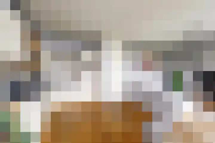 Dirk IV-plein 2 Hoornaar thumbnail 11