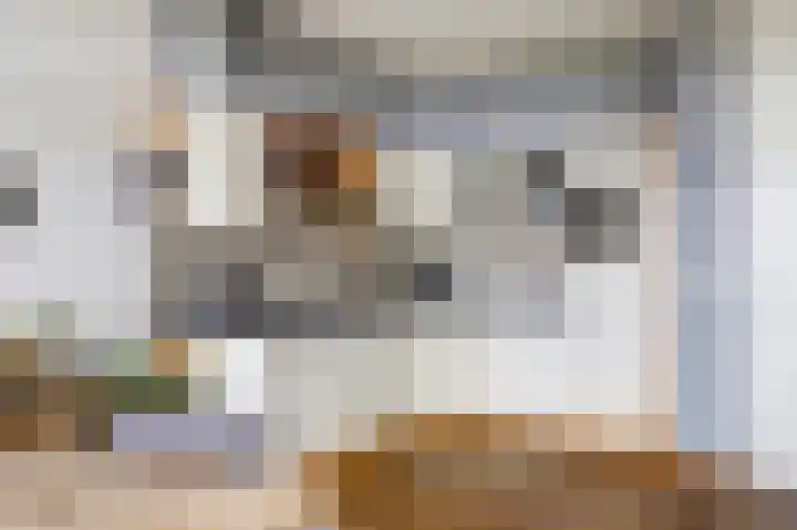 Dirk IV-plein 2 Hoornaar thumbnail 12