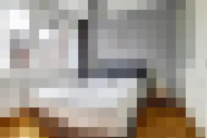 Dirk IV-plein 2 Hoornaar thumbnail 15