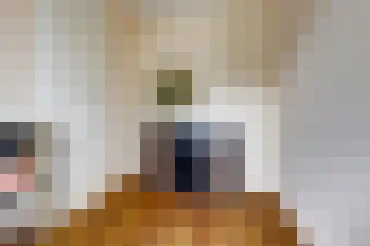 Dirk IV-plein 2 Hoornaar thumbnail 17