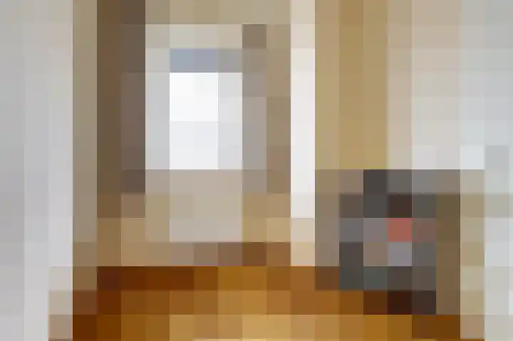Dirk IV-plein 2 Hoornaar thumbnail 18