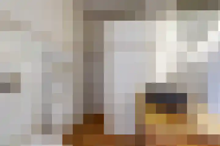 Dirk IV-plein 2 Hoornaar thumbnail 19